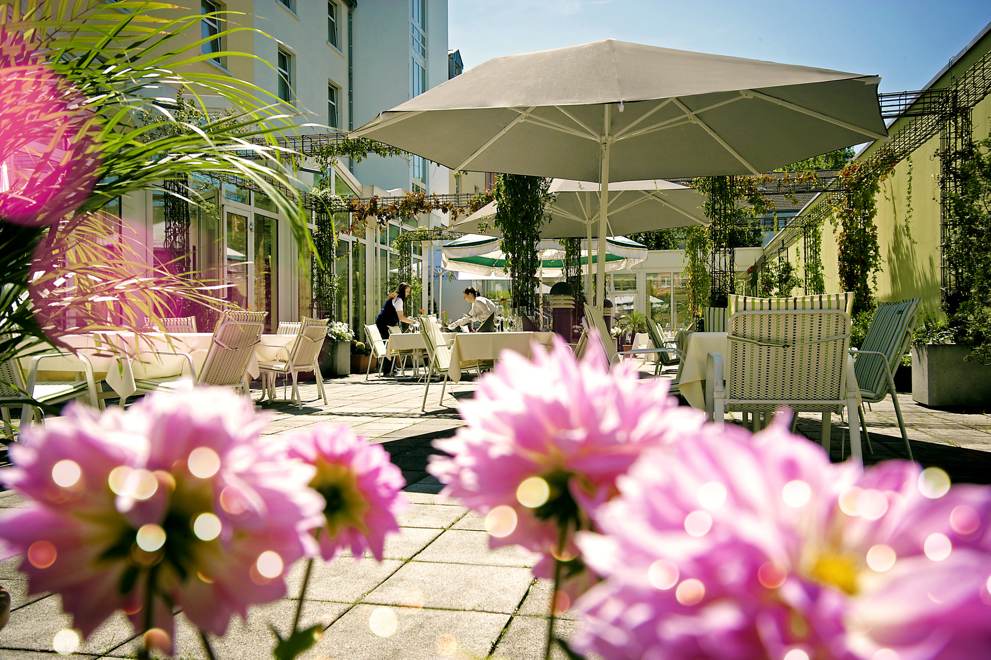Blick auf die sonnendurchflutete Terrasse mit Blumen im Vordergrund